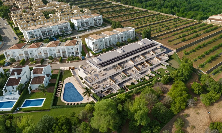 New - Apartment - La Sella