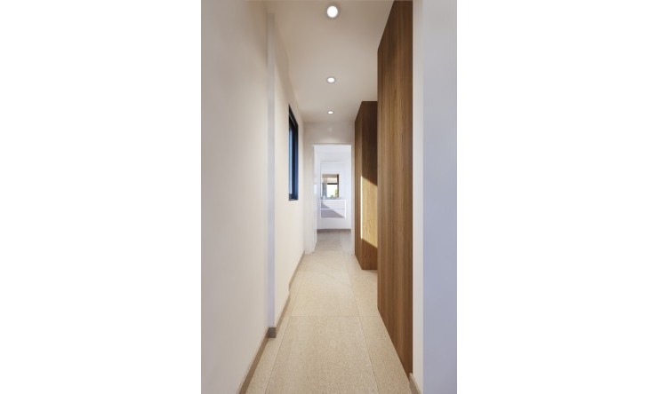 New - Detached Villa - San Miguel de Salinas - San Miguel - Town