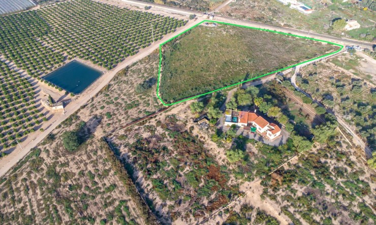 Re-Sale - Country Land - Crevillent - Comunidad valenciana