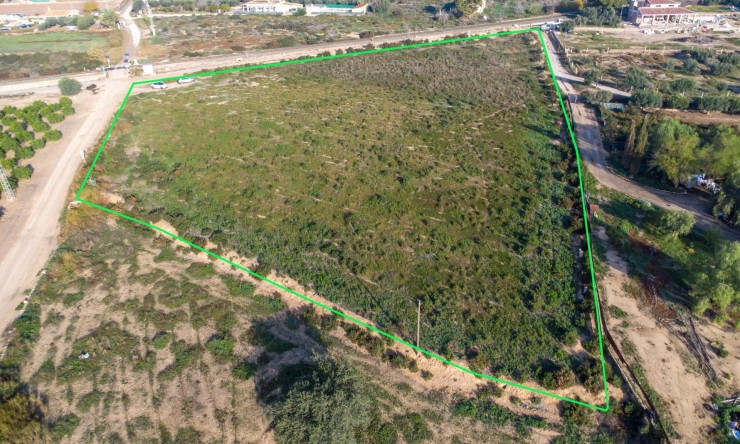 Re-Sale - Country Land - Crevillent - Comunidad valenciana