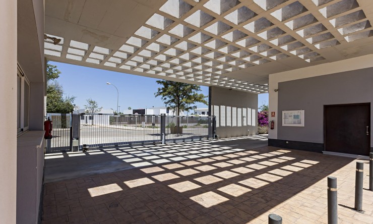 New - Apartment - Vera