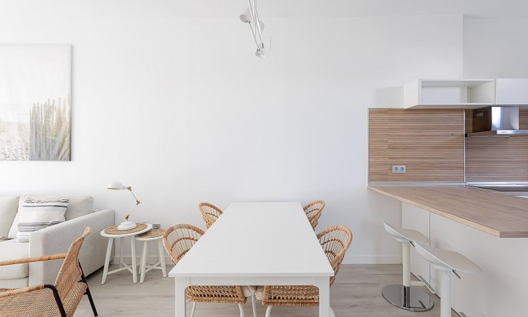 New - Apartment - Vera