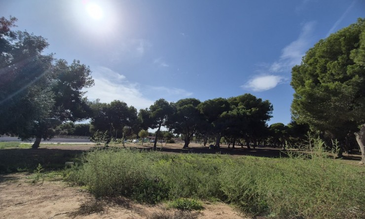 La Revente - Mitoyenne - Santiago de La Ribera - Santiago de La Ribera - Ville