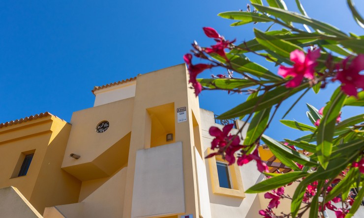 Re-Sale - Apartment - Orihuela Costa - Los Altos