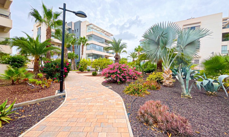 Re-Sale - Apartment - Orihuela Costa - Villamartin