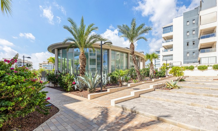 Re-Sale - Apartment - Orihuela Costa - Villamartin