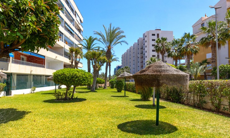 Re-Sale - Apartment - Torrevieja - Rocio del Mar