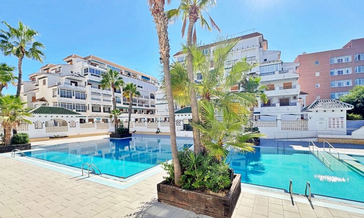 Re-Sale - Apartment - La Mata - La Mata - Town