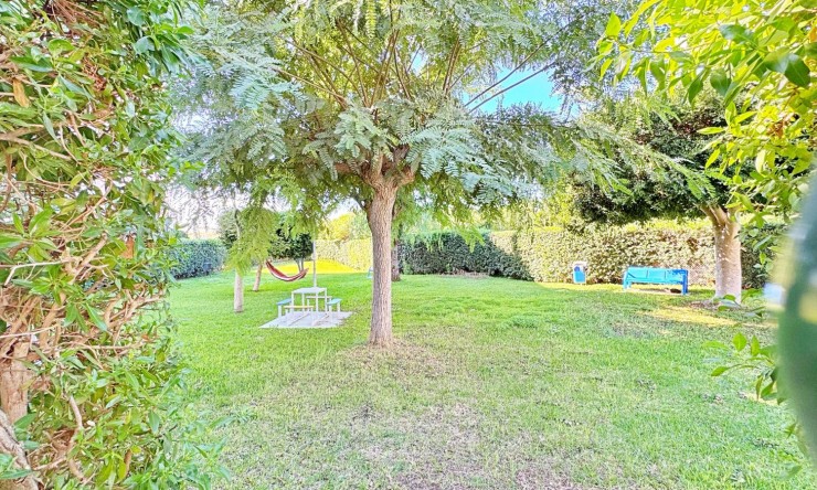 Re-Sale - Apartment - La Mata - La Mata - Town