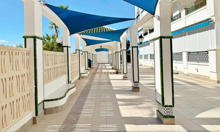 Re-Sale - Apartment - La Mata - La Mata - Town