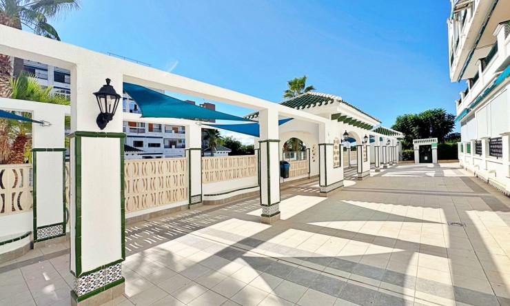 Re-Sale - Apartment - La Mata - La Mata - Town