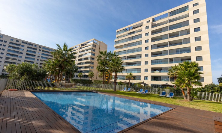 Re-Sale - Apartment - Orihuela Costa - Punta Prima