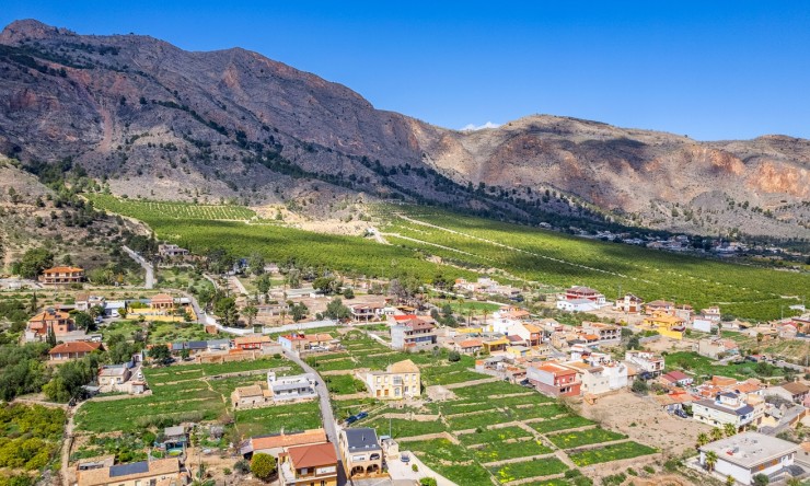 Reventa - Casa de Campo - Orihuela - Raiguero de Bonanza