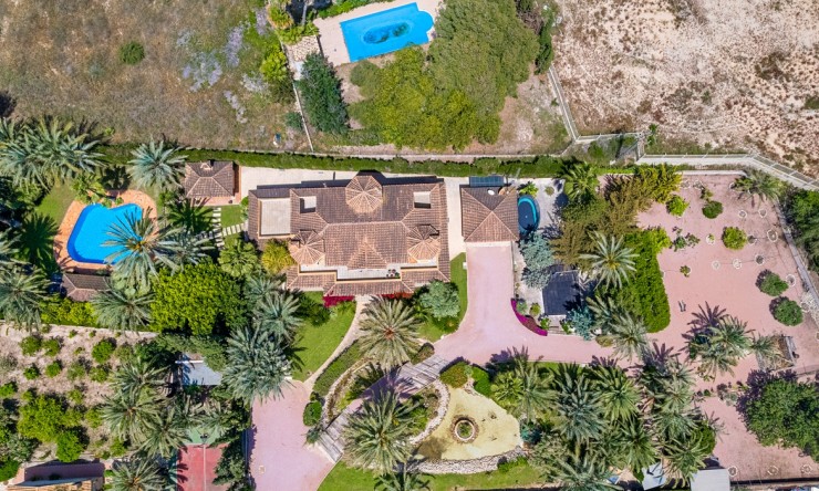 Videresalg - Land Eiendom - Elche - Elche - Felt