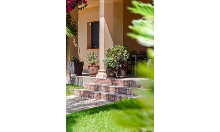 Videresalg - Land Eiendom - Elche - Elche - Felt