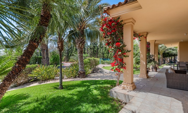 Videresalg - Land Eiendom - Elche - Elche - Felt