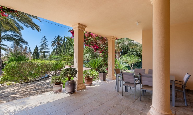 Videresalg - Land Eiendom - Elche - Elche - Felt