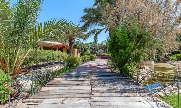 Videresalg - Land Eiendom - Elche - Elche - Felt