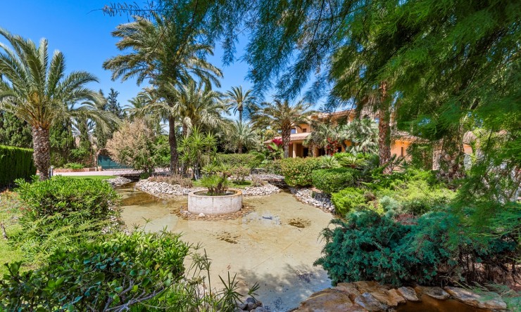 Videresalg - Land Eiendom - Elche - Elche - Felt