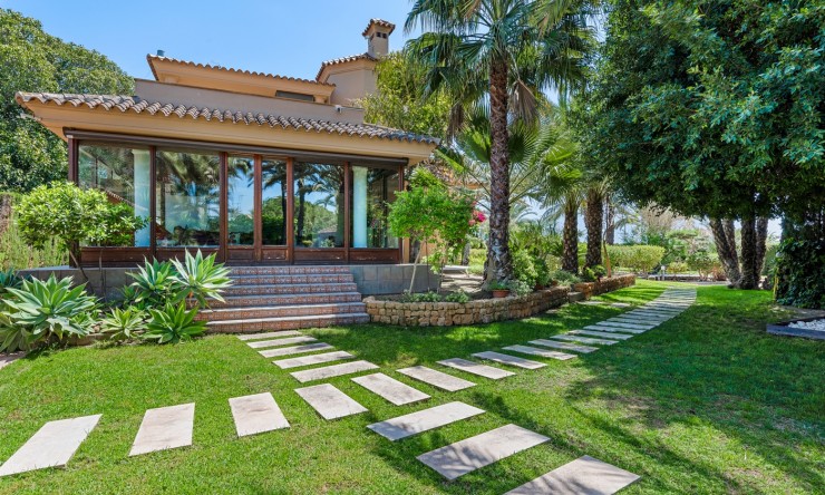 Videresalg - Land Eiendom - Elche - Elche - Felt