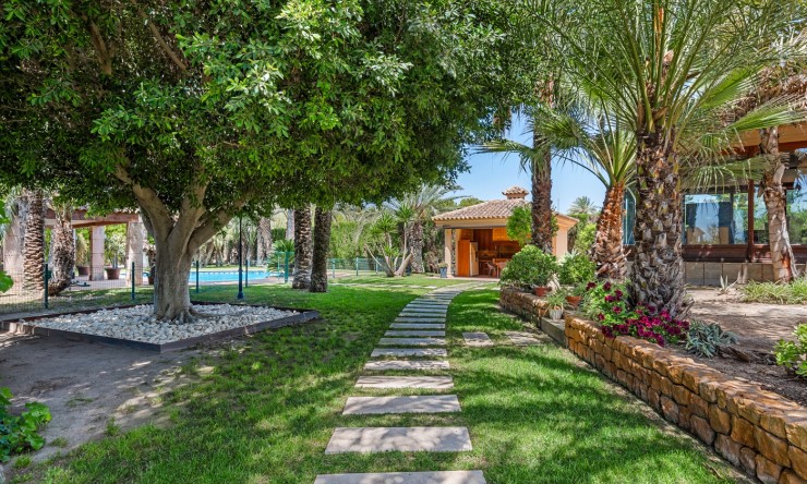 Videresalg - Land Eiendom - Elche - Elche - Felt