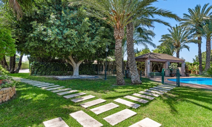 Videresalg - Land Eiendom - Elche - Elche - Felt