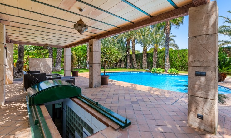 Videresalg - Land Eiendom - Elche - Elche - Felt