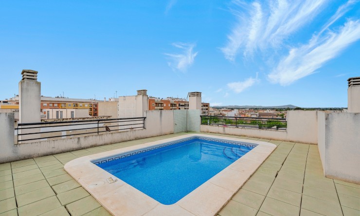 Re-Sale - Apartment - Almoradi - Almoradi - Town