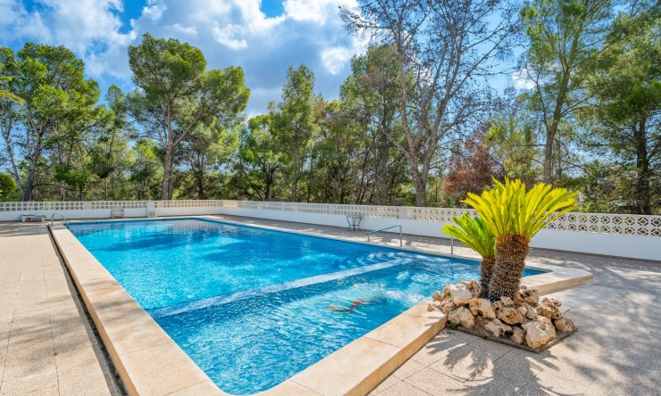 Re-Sale - Apartment - La Nucia - La Nucia - Town