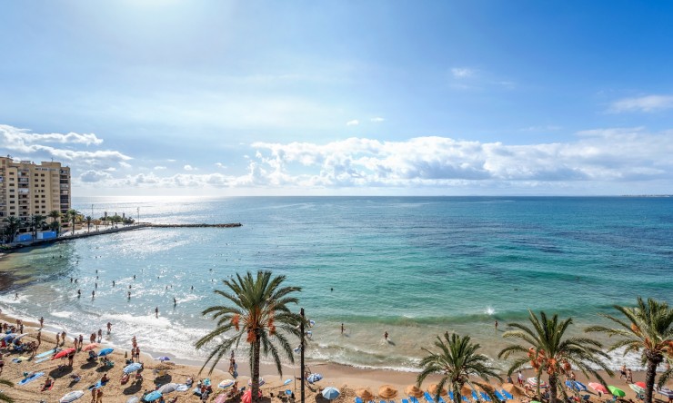 Re-Sale - Apartment - Torrevieja - Playa Del Cura