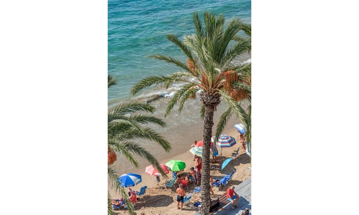 Re-Sale - Apartment - Torrevieja - Playa Del Cura