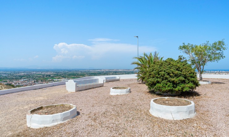 Re-Sale - Apartment - Ciudad Quesada - Ciudad Quesada - Town