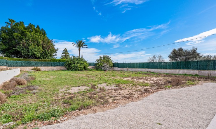 Reventa - Casa de Campo - Elche - Elche - Campo