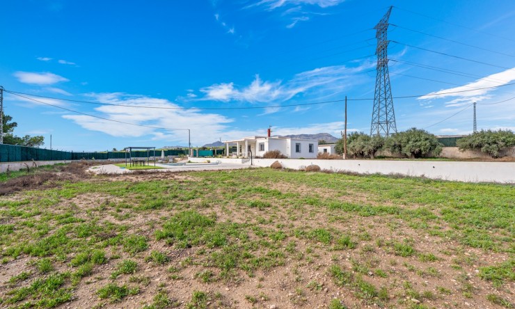 Reventa - Casa de Campo - Elche - Elche - Campo