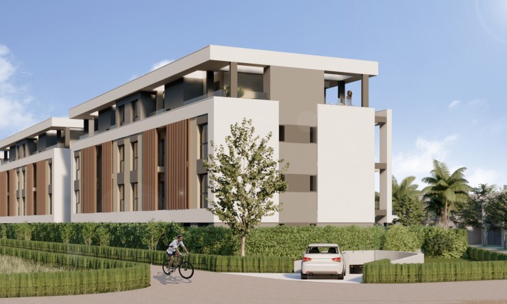 New - Apartment - Santa Rosalía