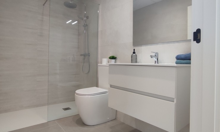 New - Detached Villa - Balsicas