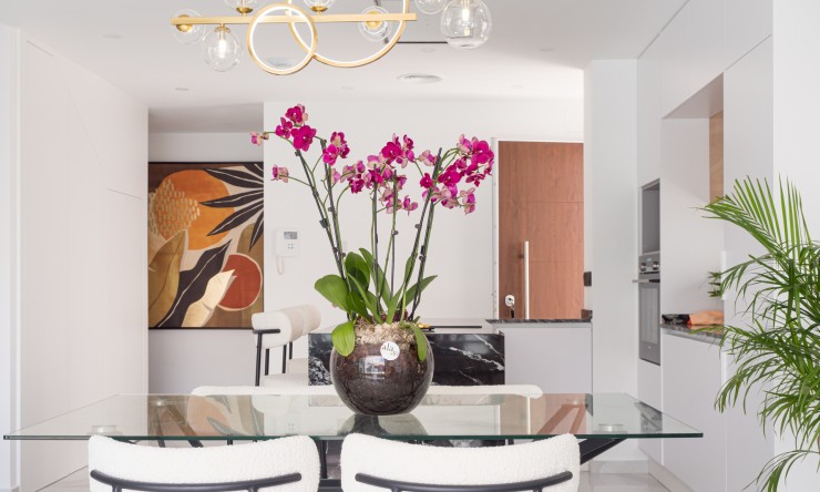 New - Detached Villa - San Pedro del Pinatar - San Pedro del Pinatar - Town