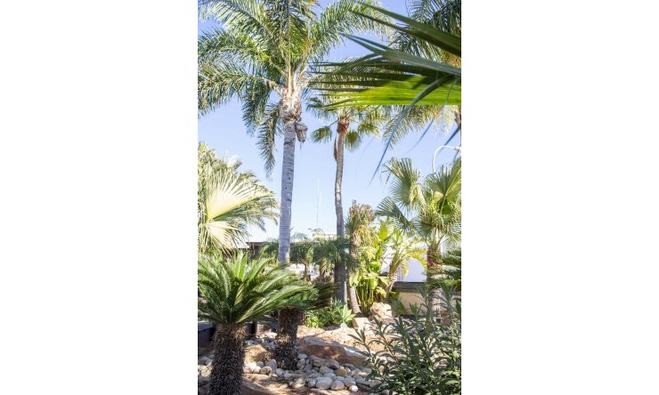 Nieuw - Vrijstaande Villa - San Pedro del Pinatar - San Pedro del Pinatar - Stad