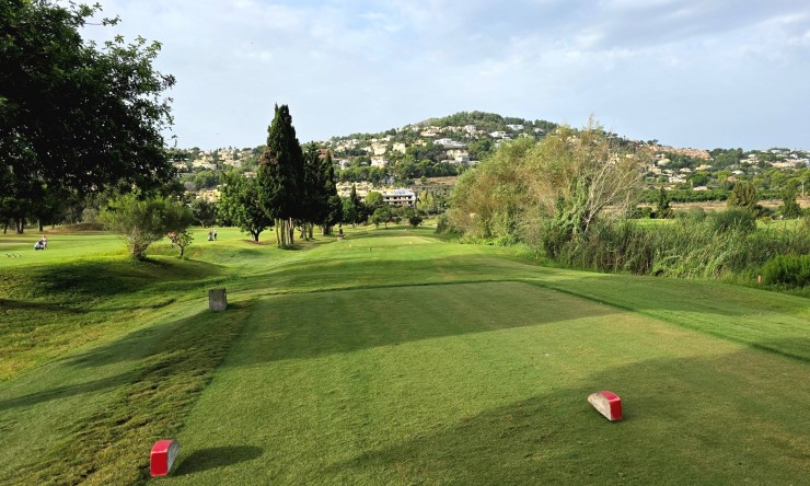 New - Apartment - La Sella