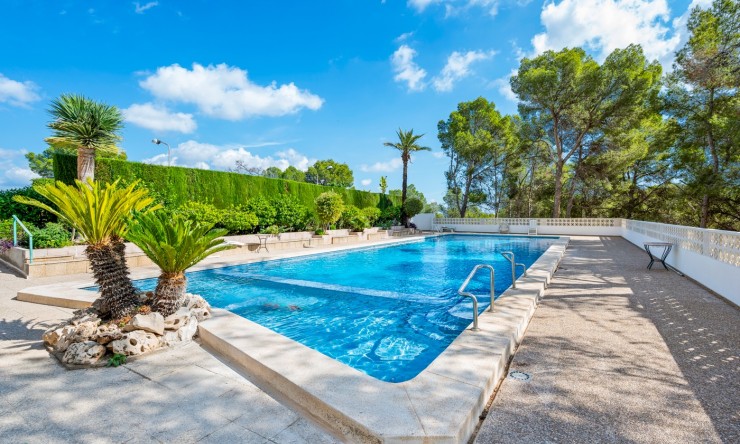 Re-Sale - Apartment - La Nucia - La Nucia - Town