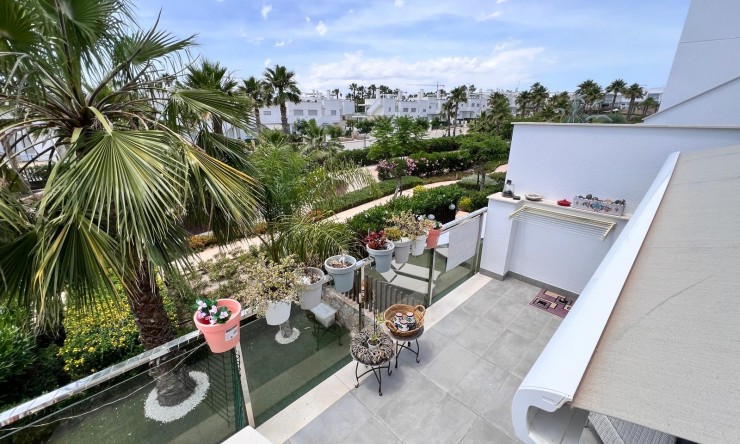 Re-Sale - Apartment - Los Montesinos - Entre Naranjos / Vistabella Golf