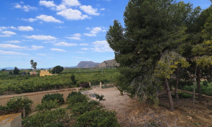 Rental - Townhouse - Callosa de Segura - Callosa de Segura - Town