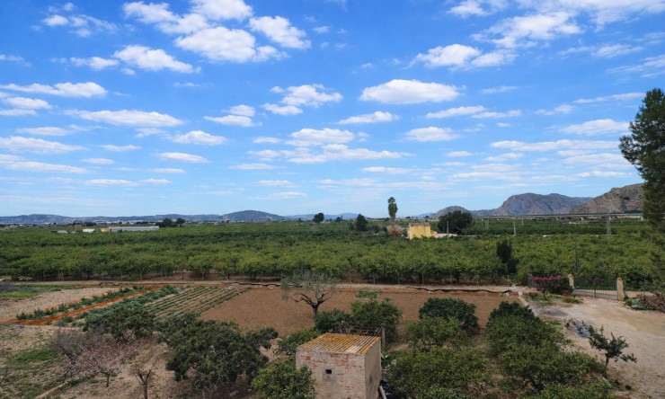 Rental - Townhouse - Callosa de Segura - Callosa de Segura - Town