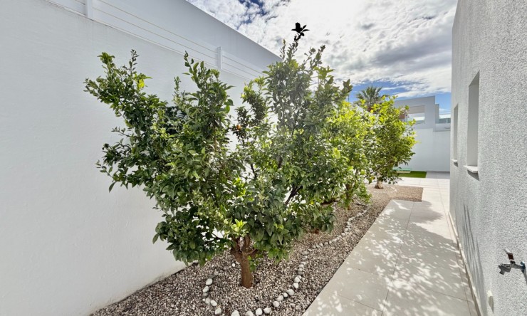 Reventa - Chalet - Benijofar - Benijofar - Pueblo