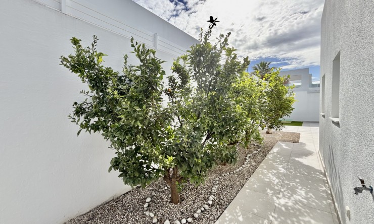 Nye - Frittliggende Villa - Binijófar