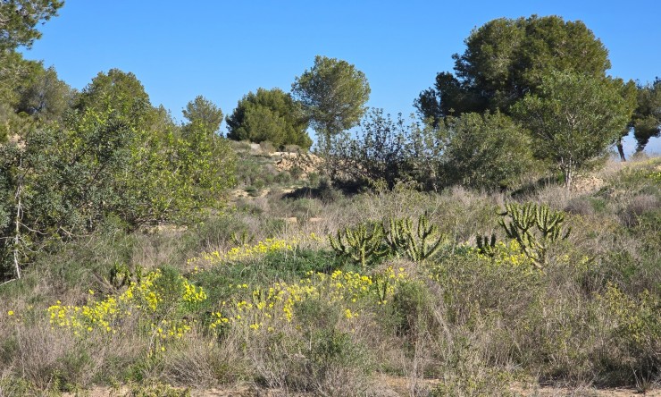 Re-Sale - Apartment - Orihuela Costa - Villamartin