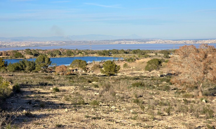 Re-Sale - Apartment - Orihuela Costa - Villamartin