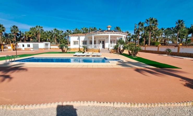 Wederverkoop - Landgoed - Catral - Catral - Veld