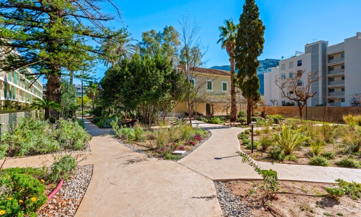 Re-Sale - Apartment - Denia - Denia - Town