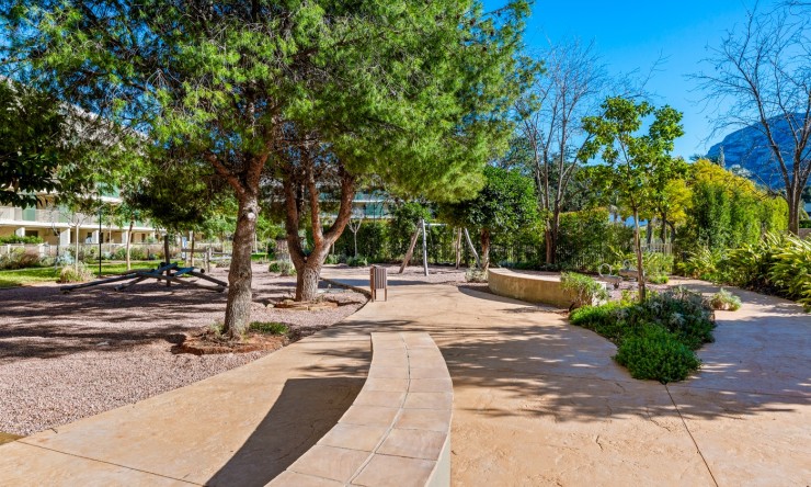 Re-Sale - Apartment - Denia - Denia - Town